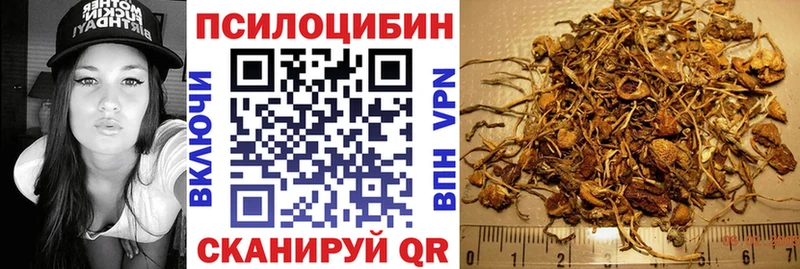 дарнет шоп  Зарайск  Псилоцибиновые грибы MAGIC MUSHROOMS 